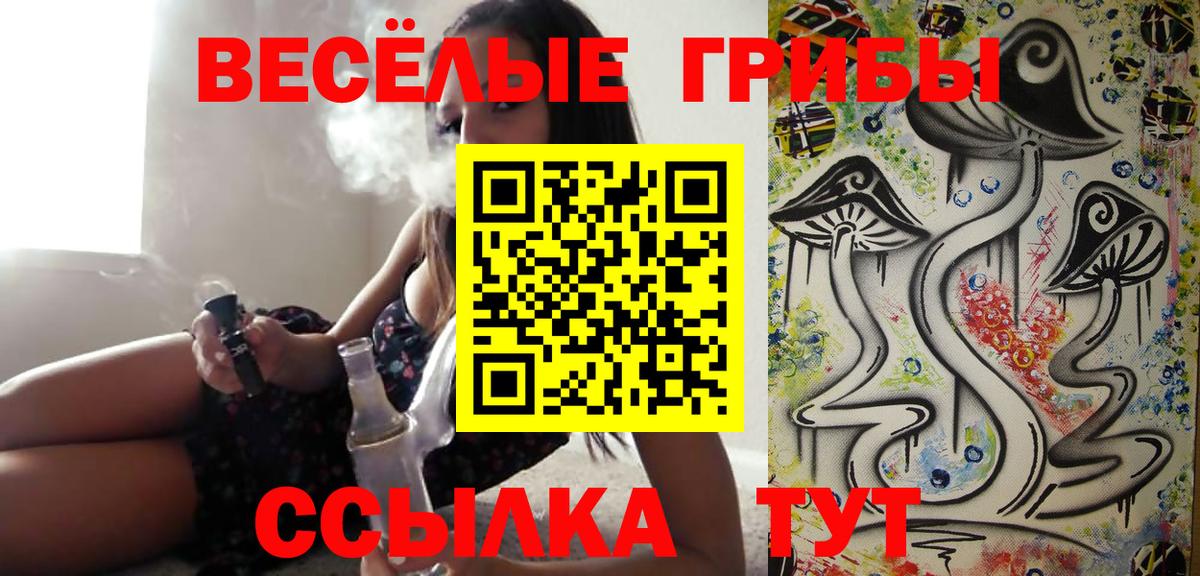 Галлюциногенные грибы MAGIC MUSHROOMS  Вход с VPN  Железногорск 
